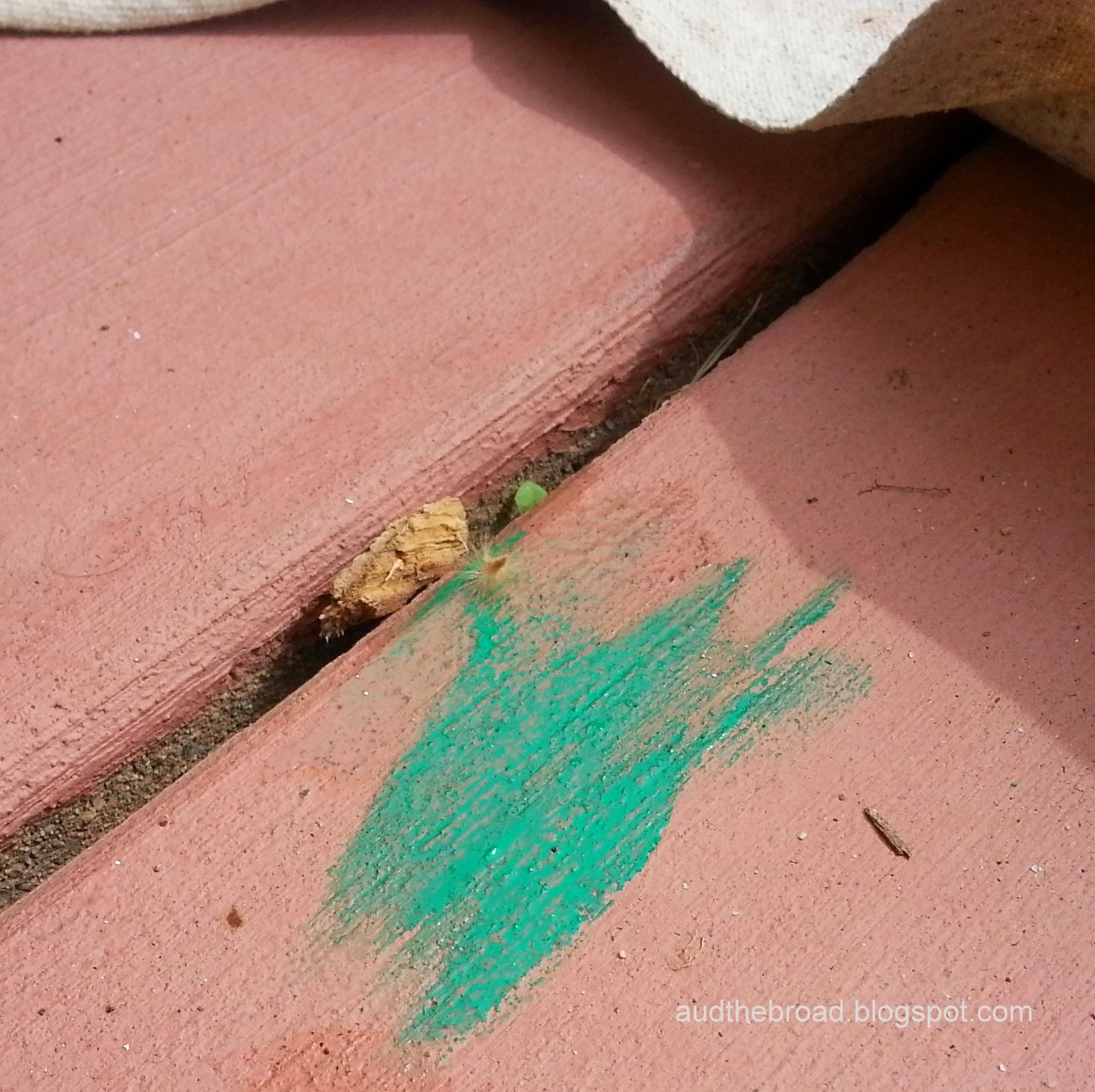green paint splotch