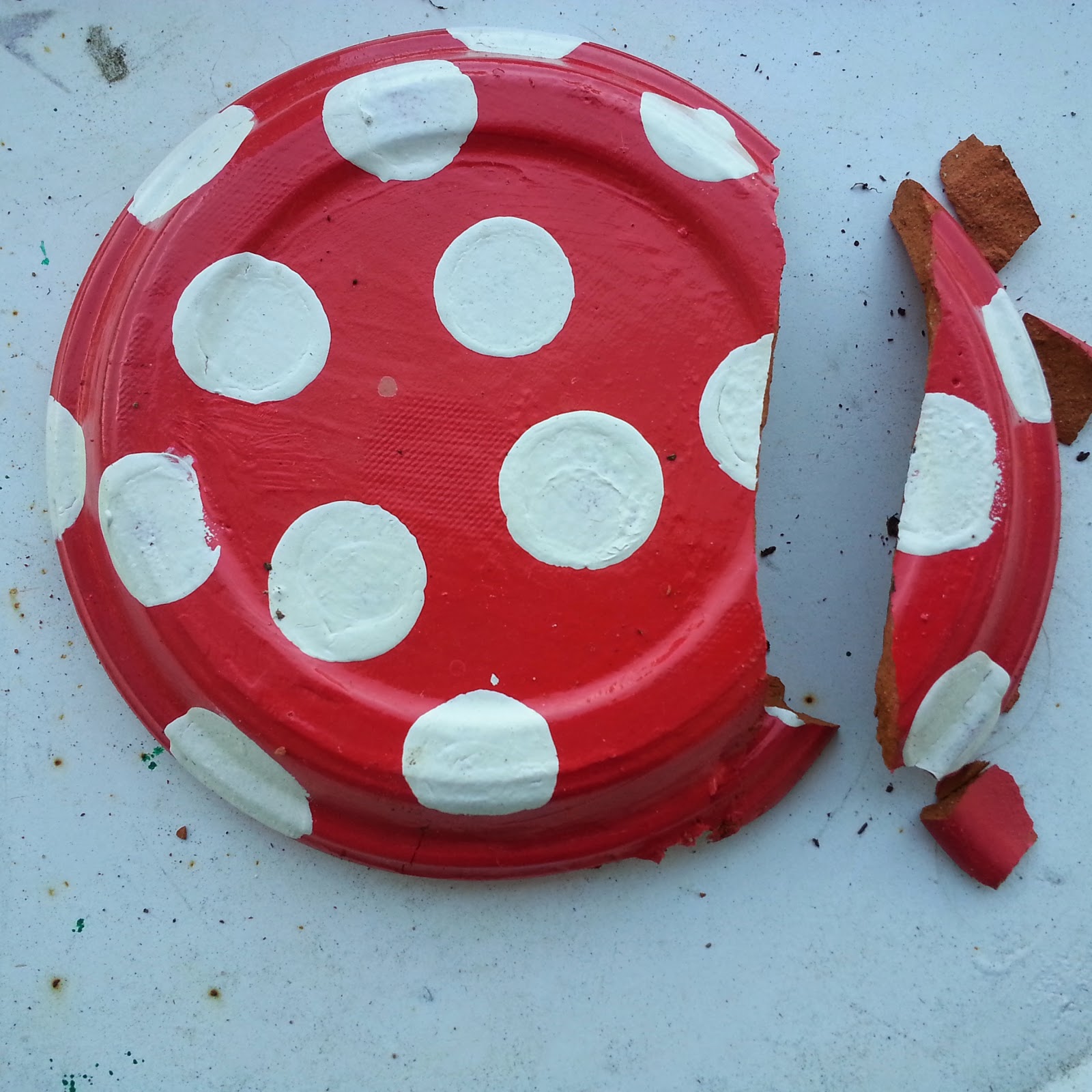 broken pot saucer