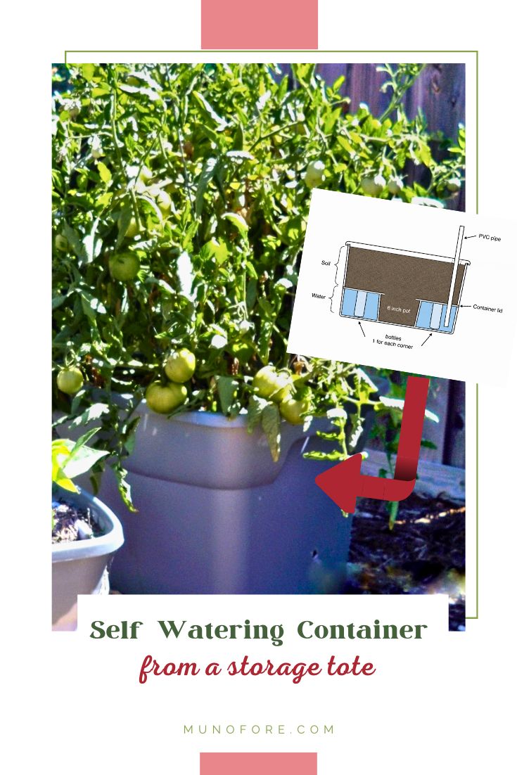 self watering container made from storage tote