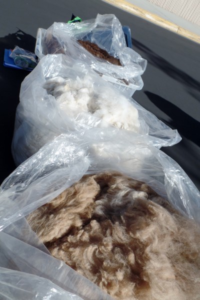 three bags of Alpaca fleece