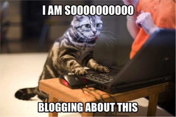 funny blogging memes