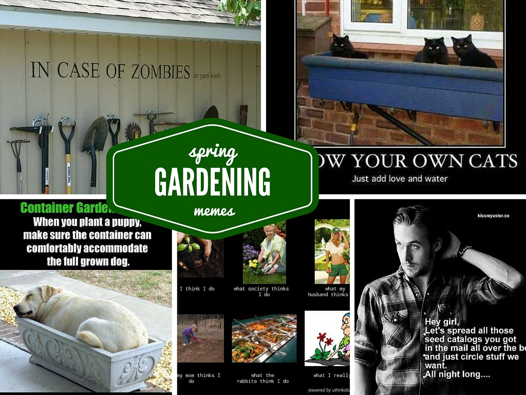 Funny Spring Gardening meme collage