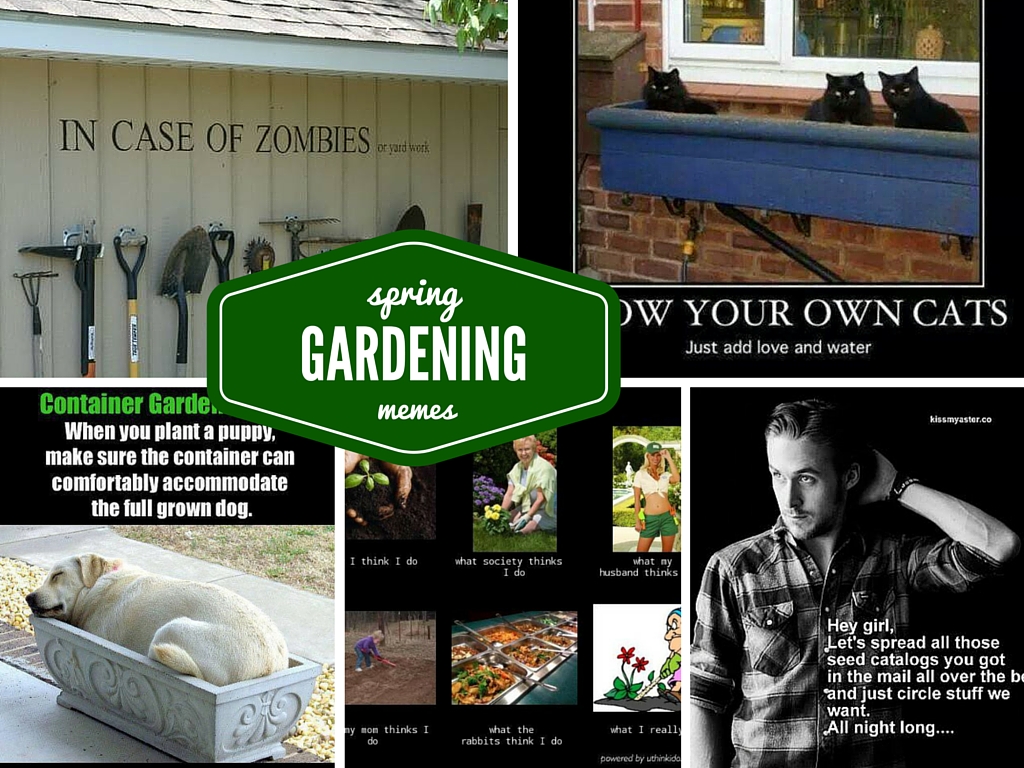 Funny Gardening Memes Just In Time For Spring Planting Munofore