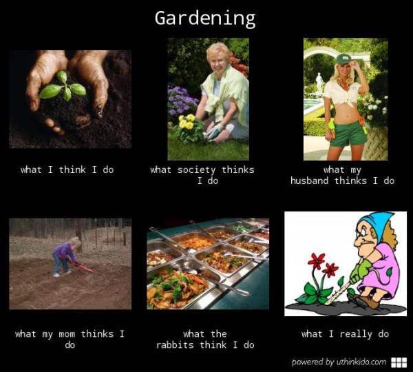 funny gardening memes
