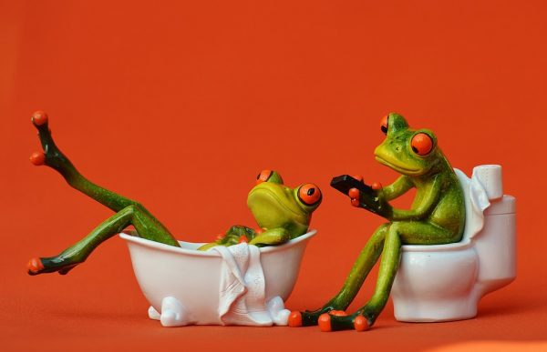 frogs in the bathroom