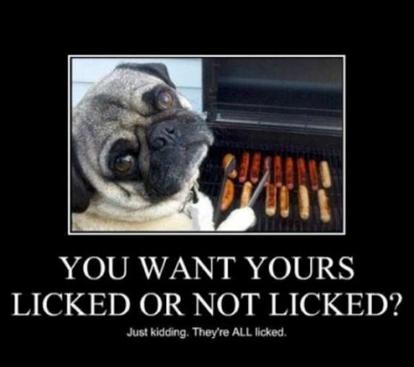 bbq-pug-W630