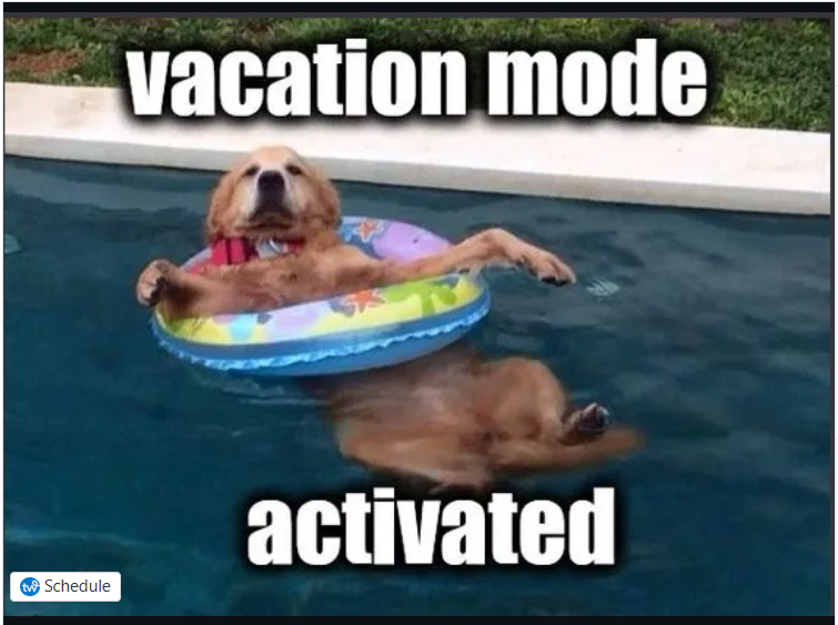 dog in an inflatable pool ring "vacation mode activated"