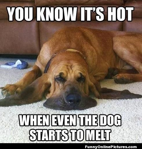 hot weather memes