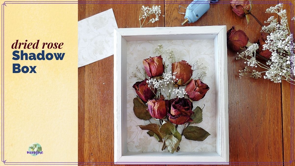 top down view of dried rose shadow box