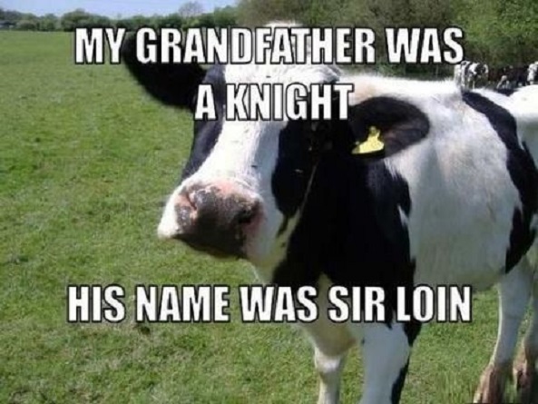 Funny-Cow-Meme-My-Grandfather-Was-A-Knight