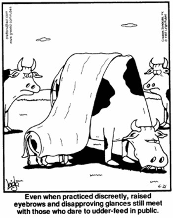 cow_breastfeeding