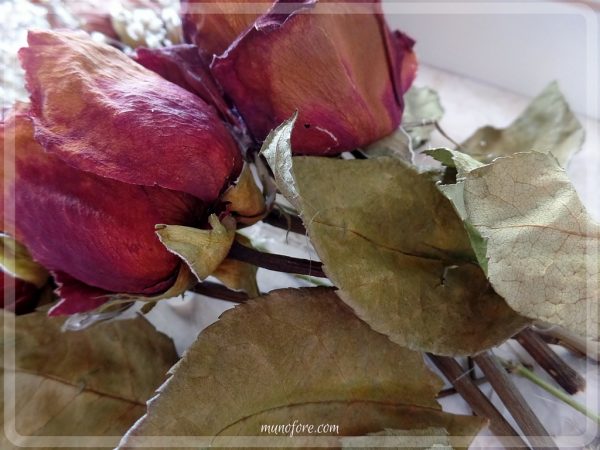 Dried Rose Shadow Box - simple but beautiful way to display dried flowers.