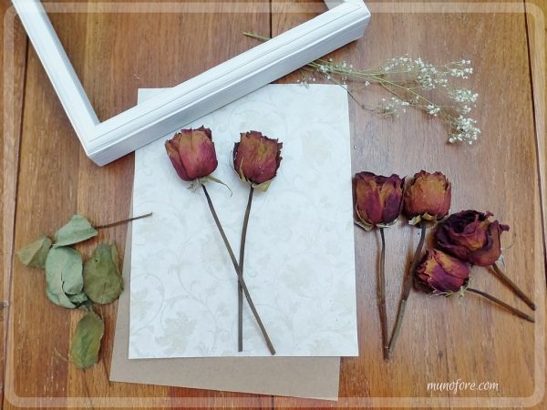 Dried Rose Shadow Box - simple but beautiful way to display dried flowers.