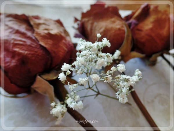 Dried Rose Shadow Box - simple but beautiful way to display dried flowers.