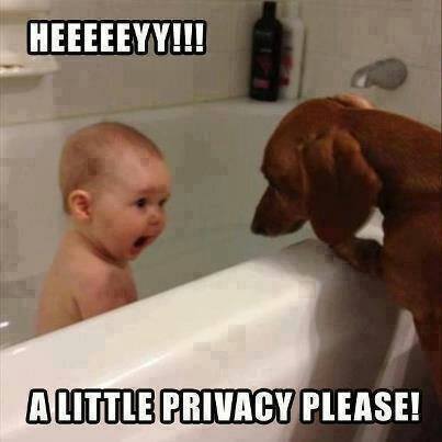 1429594341_a-little-privacy