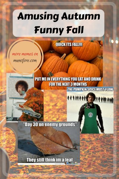 Autumn memes - Celebrate autumn with a smile! Some funny fall (autumn) memes to get in the spirit of the season. humor