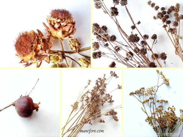 Autumn's Beauty Wreath: Using seed pods and dried flowers and fruit to create a fall door wreath. Autumn Door Wreath. California Native Plants.