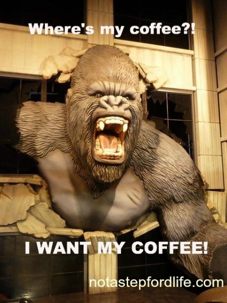 Adorable and Funny Animal Coffee Memes (Friday Frivolity) - Munofore