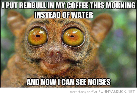 Adorable and Funny Animal Coffee Memes (Friday Frivolity) - Munofore