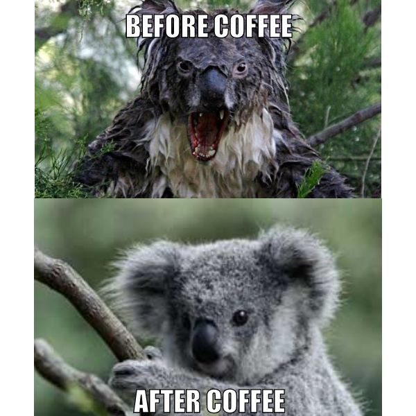 koala-before-coffee-after-coffee