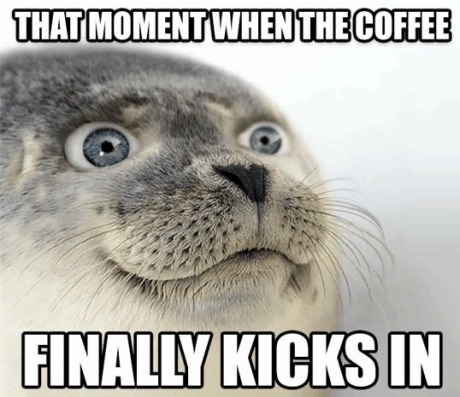 seal-meme-coffee-eyes