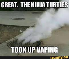 Family Friendly TMNT memes - funny Teenage Mutant Ninja Turtle memes