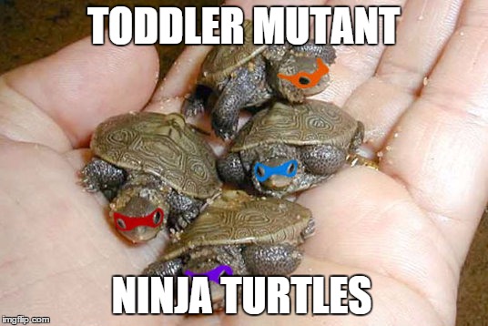 Family Friendly TMNT memes - funny Teenage Mutant Ninja Turtle memes