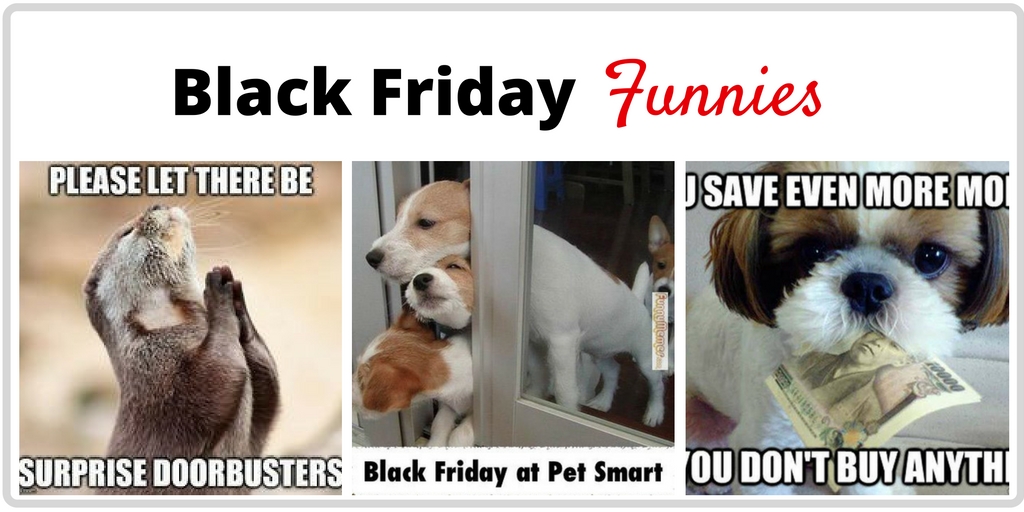 Forget shopping! Enjoy these funny Black Friday memes instead. Cute and funny Black Friday memes to make the season merry.