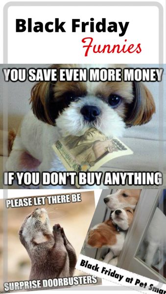 Forget shopping! Enjoy these funny Black Friday memes instead. Cute and funny Black Friday memes to make the season merry.