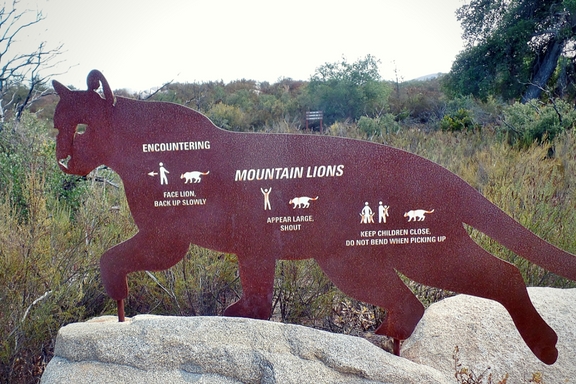 The Santa Rosa Plateau located near Murrieta, CA in the Santa Ana Mountains is a great place to hike and learn about California's history and native ecology