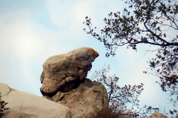 The Santa Rosa Plateau located near Murrieta, CA in the Santa Ana Mountains is a great place to hike and learn about California's history and native ecology