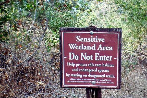 The Santa Rosa Plateau located near Murrieta, CA in the Santa Ana Mountains is a great place to hike and learn about California's history and native ecology