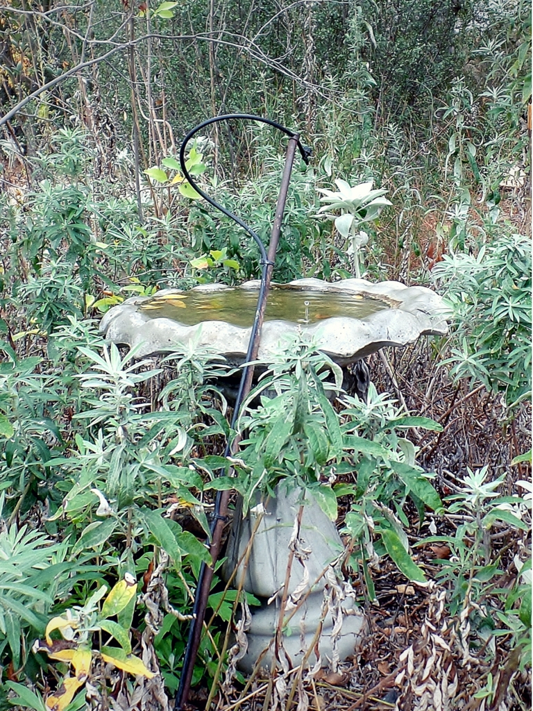 Take a Hike at the Beautiful Santa Rosa Plateau - Munofore