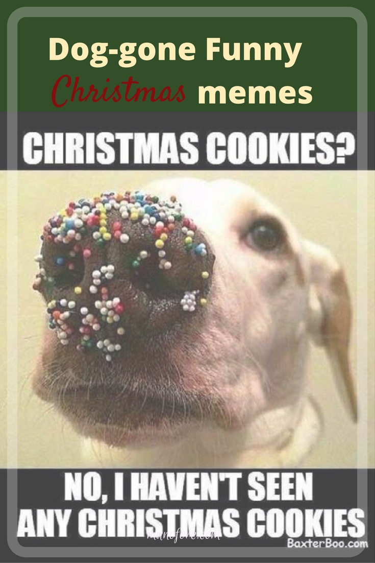 Dog-gone Funny Christmas Memes, dog puns. Christmas puns,