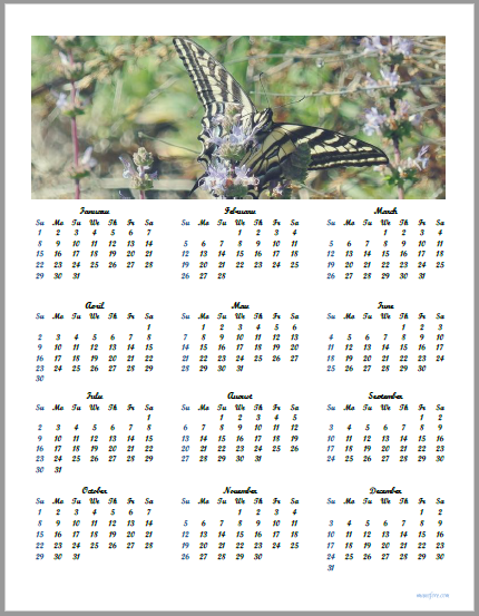 2017 butterfly calendar