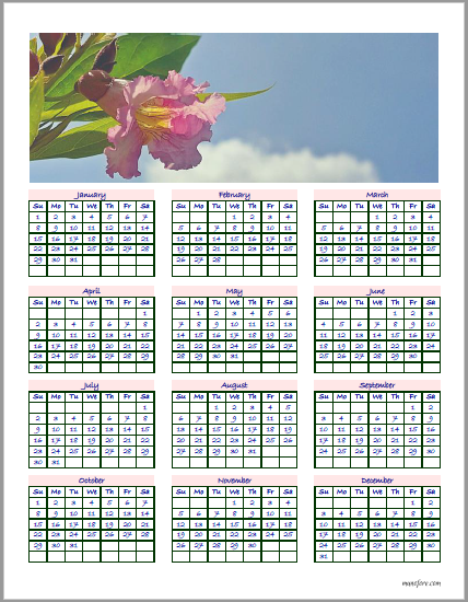 2017 Chitalpa calendar