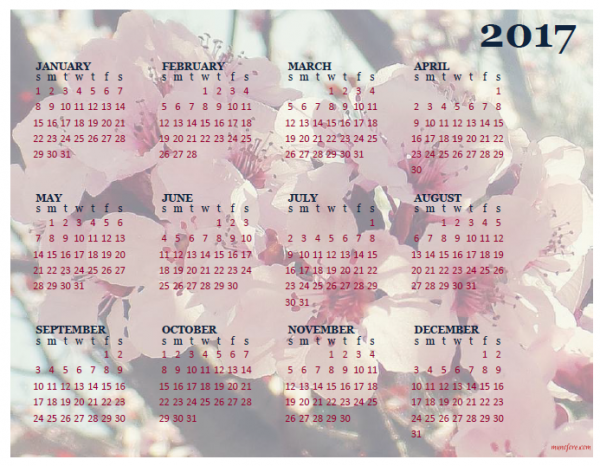 2017 plum blossom calendar