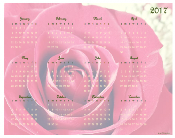 2017 rose calendar