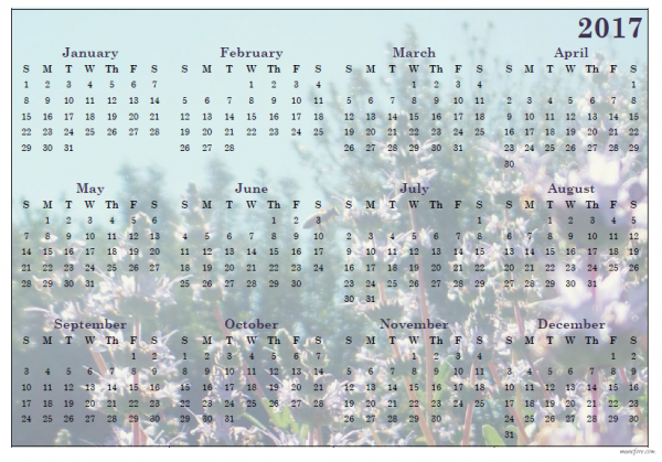 2017 sage blossom calendar