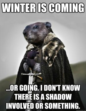 Cute and Funny Groundhog memes - celebrate Groundhog Day with these adorable groundhog memes. funny memes, cute animal memes.