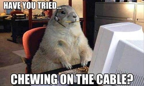 Cute and Funny Groundhog memes - celebrate Groundhog Day with these adorable groundhog memes. funny memes, cute animal memes.