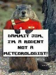 Cute and Funny Groundhog memes - celebrate Groundhog Day with these adorable groundhog memes. funny memes, cute animal memes.