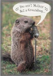 Cute and Funny Groundhog memes - celebrate Groundhog Day with these adorable groundhog memes. funny memes, cute animal memes.