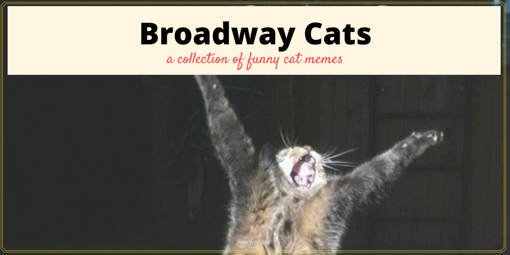 Broadway Cats Memes - a collection of broadway memes with cats.