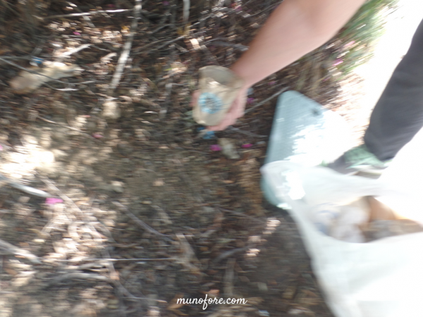 How to Organize a Community Clean Up: Some people complain about the trash in their neighborhood, others get the neighbors together to clean it up.