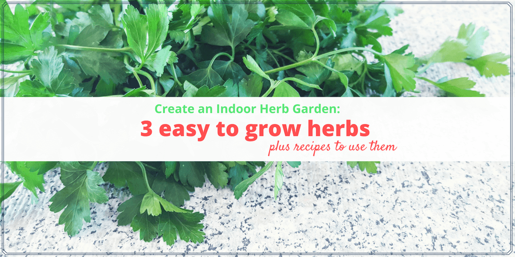 Create an Indoor Herb Garden: 3 easy to grow herbs and recipes to use them. #gardening #recipes #herbs