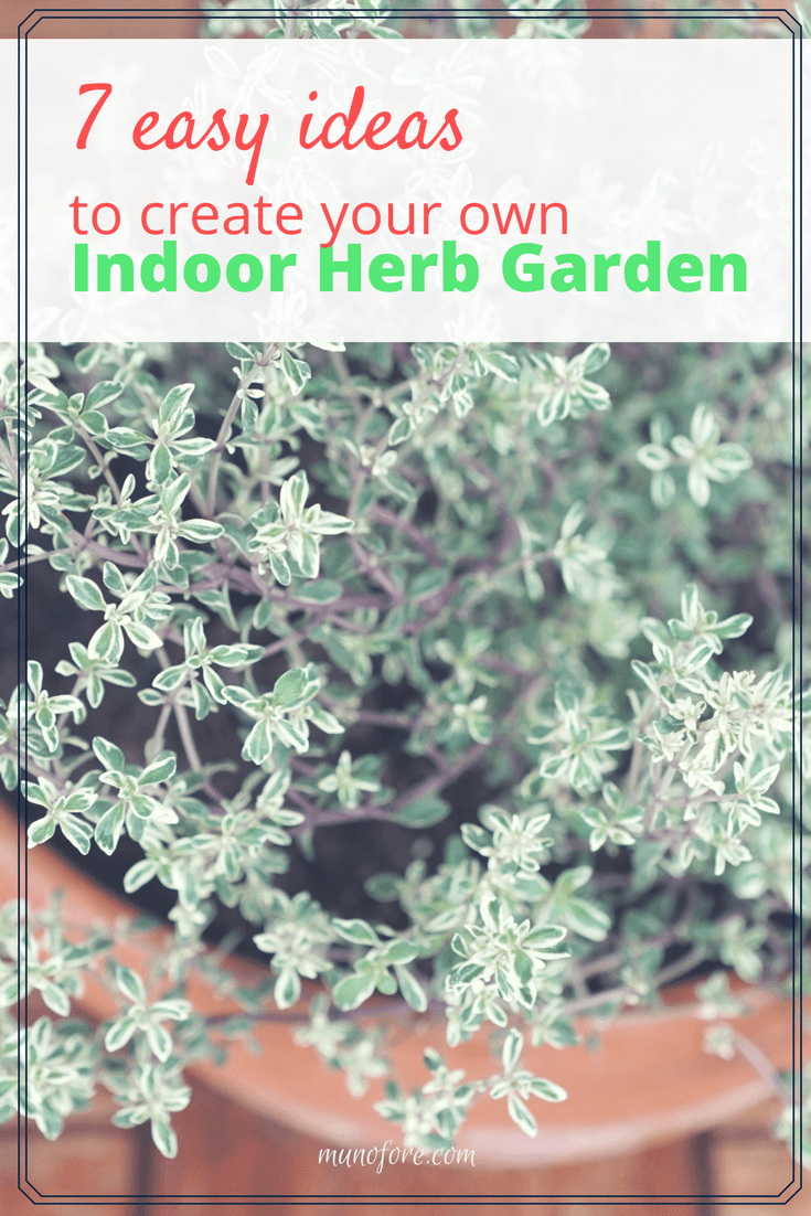 7 Easy Ideas to Create Your Own Indoor Herb Garden - Munofore