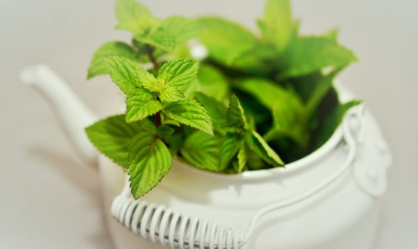 Create an Indoor Herb Garden: 3 easy to grow herbs and recipes to use them. #gardening #recipes #herbs