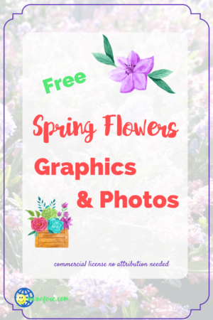 California lilac photo with text overlay "Free SPring Flowers Graphics and Photos"