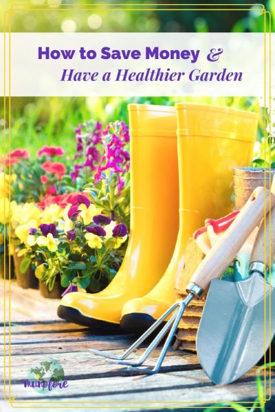 picture of a garden walkway with garden tools with text overlay " How to Save Money and Have a Healthier Garden"